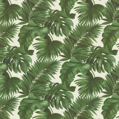 Kasmir Keanu Palm 55 Moss in 1453 Green Polyester  Blend Fire Rated Fabric Heavy Duty CA 117  Tropical  Vine and Flower   Fabric